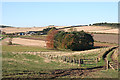 Looking towards Little Chapelton