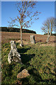 NJ6122 : Druidstone Recumbent Stone Circle (3) by Anne Burgess
