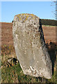 NJ6122 : Druidstone Recumbent Stone Circle (7) by Anne Burgess