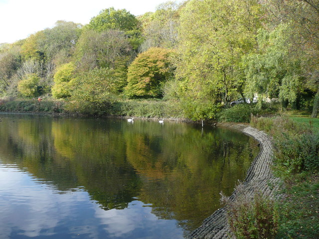 Crags Pond, Creswell Crags