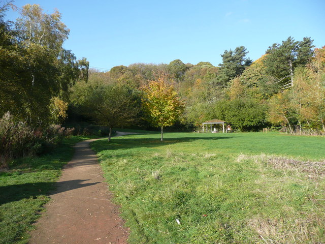 Crags Meadow, Creswell Crags