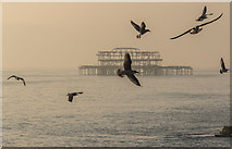 TQ3003 : The West Pier, Brighton, East Sussex by Christine Matthews
