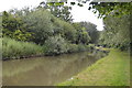 Ashby Canal