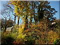 Horsley Road from the fishery