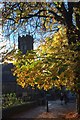 Tree and church, Victoria Avenue, Harrogate