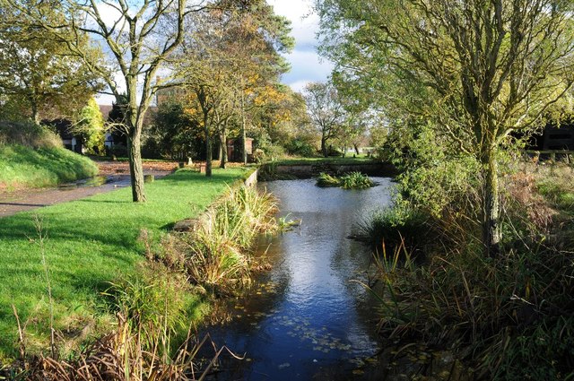 Pond near Lower Farm © Philip Halling cc-by-sa/2.0 :: Geograph Britain ...