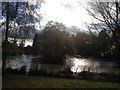 Lake at Long Birch Farm