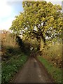 Park Lane near Brewood