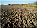 NH6454 : Field below Balnakyle Farm by Julian Paren
