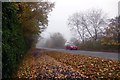 Autumn leaves on Goose Carr Lane