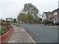 Trees off Yewdale Road, Carlisle