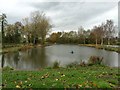 Fishing pool opposite Watch Lane Flash