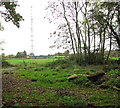 View towards the radar transmitter site