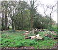 RAF Stoke Holy Cross - the buried reserve (transmitter)