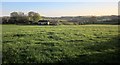 Cottages at Marshwood