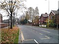 Bus stop on Coniscliffe Road (A67)