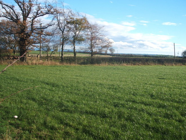 Farmland near Ralston House