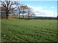 Farmland near Ralston House