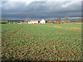 NZ1521 : Crop field towards Sink House Farm by JThomas
