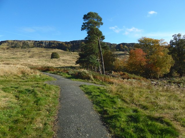 Path in Lang Craigs Woodland