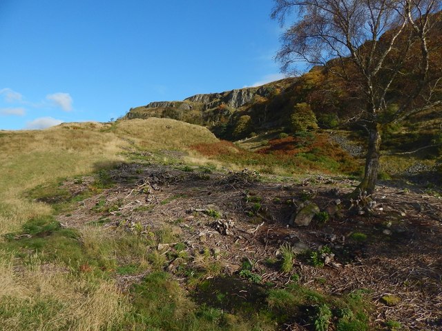 Area cleared of Rhododendron bushes