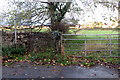 Footpath to Craigside