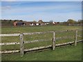 Stud farm near Little Ditton