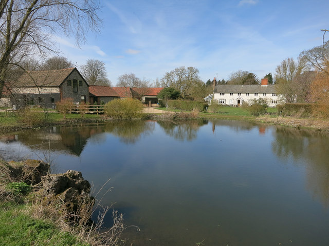 Pond at Parsonage Farm