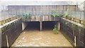 River Medlock emerges from culvert