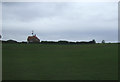 Grazing towards Colonels Farm Cottage