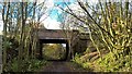 Road bridge over disused railway