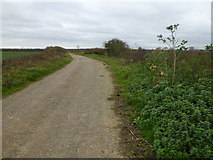 TL2976 : Gated road to RAF Wyton by Richard Humphrey