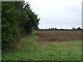 Farmland and hedgerow