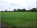 Farmland near Hill Farm