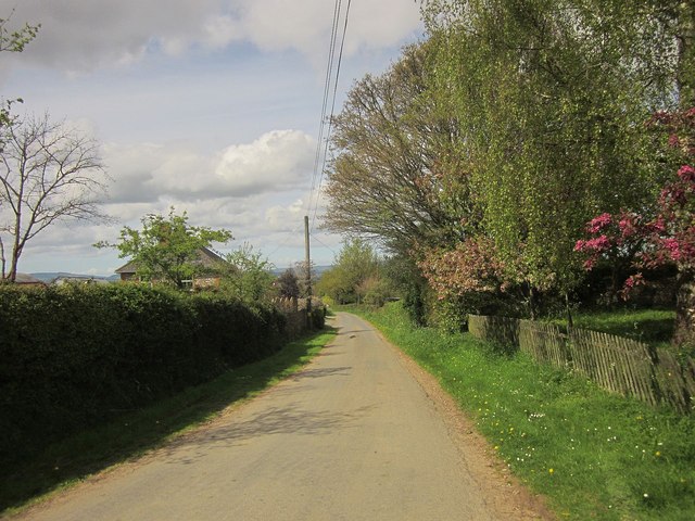 Lane past Hopkin's Farm