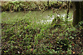 Anti-tank Defences by the River Wey