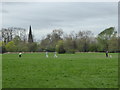 Playing cricket in Birchfields Park