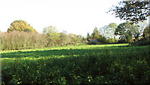 TG3001 : Meadow by Mill Farm by Evelyn Simak