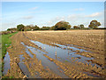 TG3002 : Puddle in stubble field by Avenue Farm by Evelyn Simak