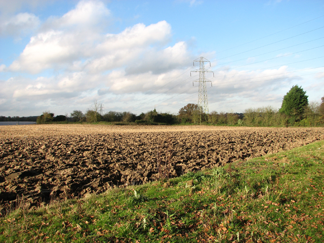 Pylons in fields south of the A146 road