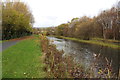 Forth & Clyde Canal