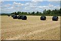 SO7908 : Silage bales by Philip Halling