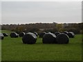 Round bales, Leys of Boysack