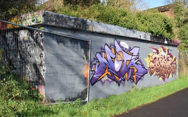 Graffiti, Lagan towpath, Stranmillis, Belfast (November 2015)