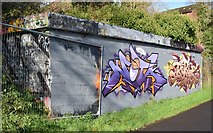 J3470 : Graffiti, Lagan towpath, Stranmillis, Belfast (November 2015) by Albert Bridge