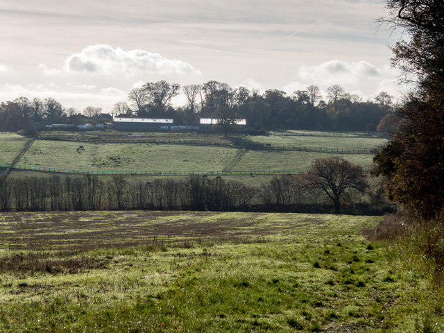 Farmland near Williams Wood, Trent Park, Enfield