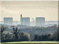 Edmonton Tower Blocks as seen from near Williams Wood, Trent Park, Enfield