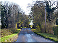 Road to Barkway near Heath Farm