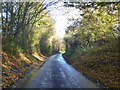 Bogmoor road descends to Shaftenhoe End