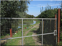 TL4381 : Fishing lake by Ouse Washes by Hugh Venables